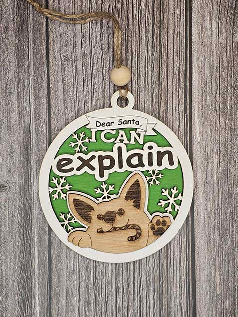 Santa, I Can Explain