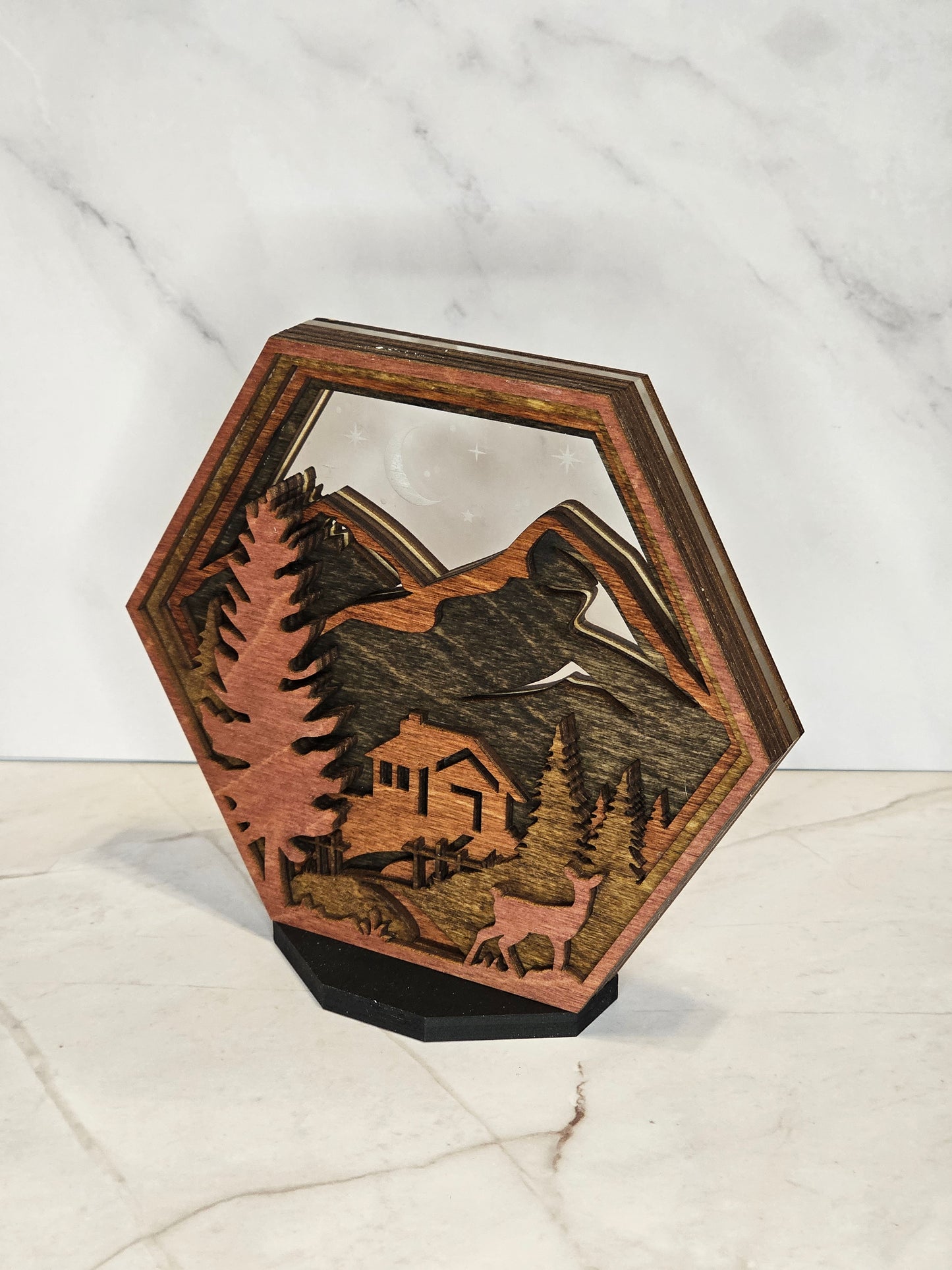 Cabin Hexagon Shadow Box